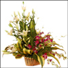 Heart Touch of Beauty - Click here to View more details about this Product